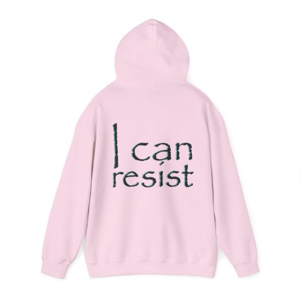 Horse I Can Resist Hoodie, Unisex Sweatshirt, Urban Style Jumper, Equine Lover Gift, Funny Animal Pullover - Image 43